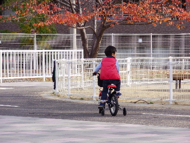 公園で自転車