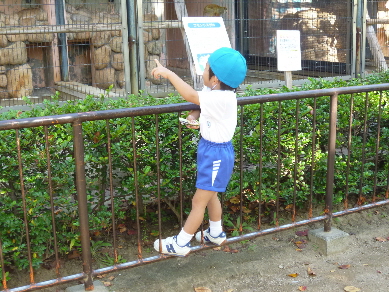 長男at動物園