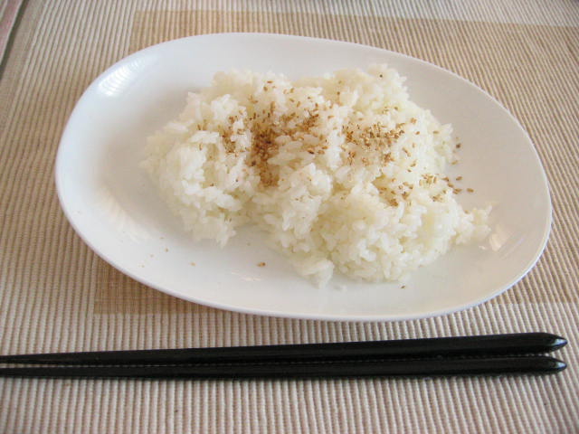 20060729gohan.jpg