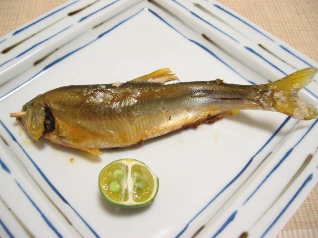 20060804ayu.jpg